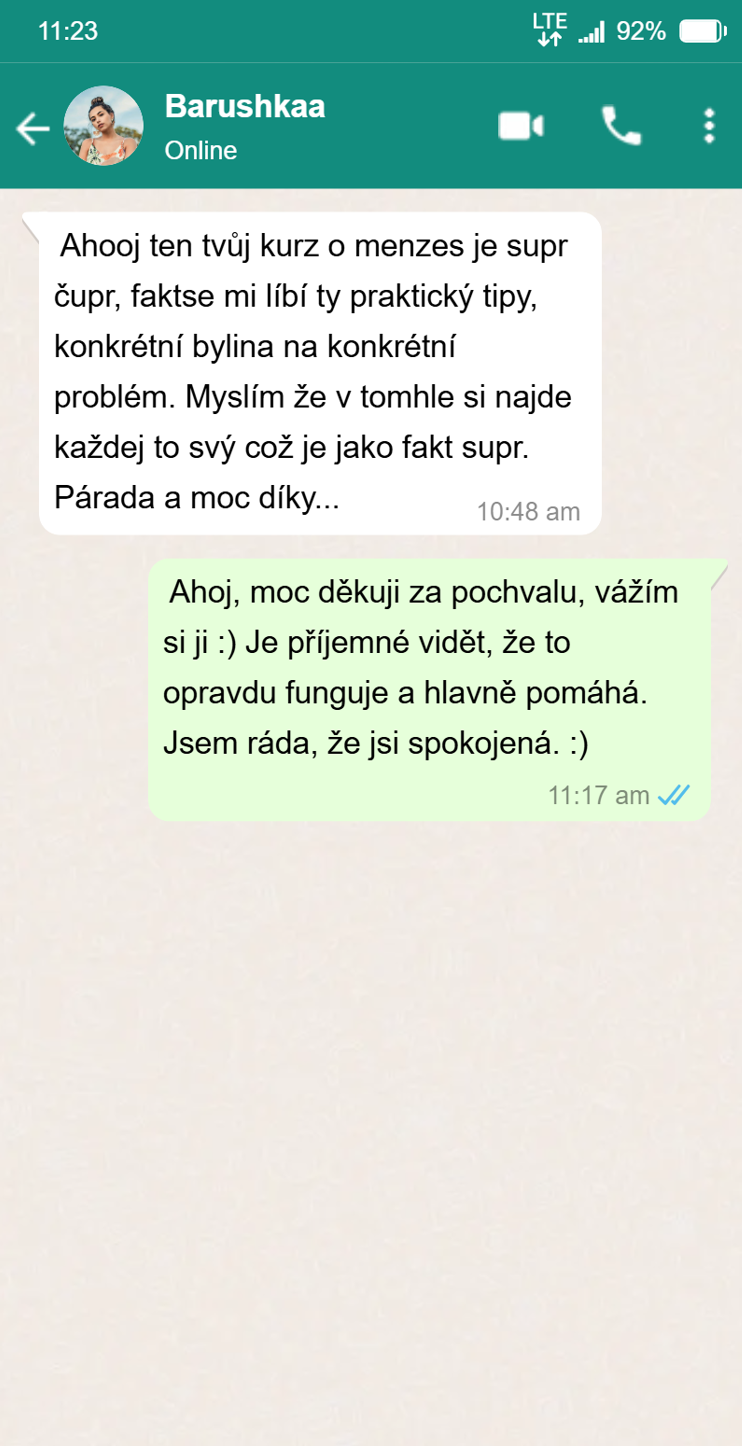 Snímek obrazovky 2025-03-17 144610