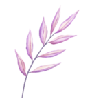 cropped-flaticon.png